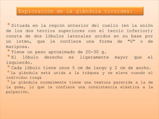 Exploración de la glándula tiroides:

•Situada   en la región anterior del cuello (en la unión
de los dos tercios superiores con el tercio inferior);
consta de dos lóbulos laterales unidos en su base por
un istmo, que le confiere una forma de "U“ o de
mariposa.
• Tiene un peso aproximado de 20-30 g.
• El lóbulo derecho es ligeramente mayor que el
izquierdo.
• Cada lóbulo tiene unos 5 cm de largo y 2 cm de ancho.
•La glándula está unida a la tráquea y se eleva cuando     el
individuo traga
•La glándula normalmente tiene una textura parecida a lade
la goma, lo que le confiere una consistencia elástica a la
palpación.
 