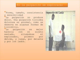 En la palpación se explorará:

•Forma, tamaño,   consistencia
y sensibilidad
•La palpación     no    produce
dolor. Una palpación tiroidea
dolorosa es anormal, como se
observa en algunas formas de
tiroiditis.
•La   palpación     es    mejor
hacerla    con    el     sujeto
sentado,     situándose      el
explorador,     primero     por
detrás, y luego, por delante
y por los lados.
 