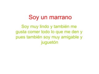 Soy un marrano   Soy muy lindo y también me gusta comer todo lo que me den y pues también soy muy amigable y  juguetón 