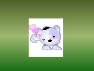 Mis Mascotas Y Sus Modelitos