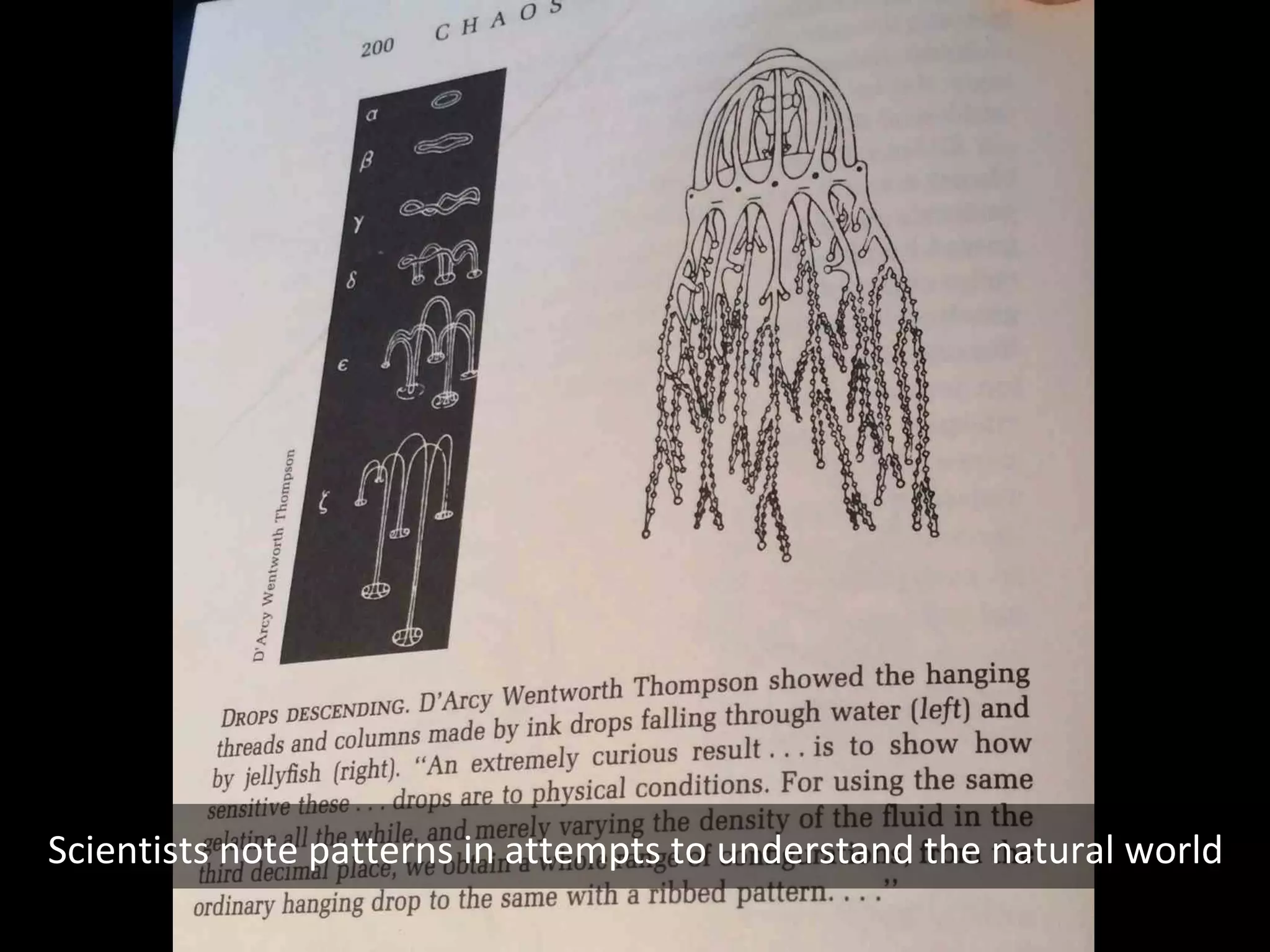 Scientists note patterns in attempts to understand the natural world

 