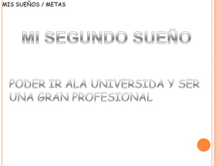 MIS SUEÑOS / METAS
 
