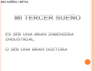 MIS SUEÑOS / METAS
 