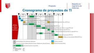 Cronograma de proyectos de TI
 