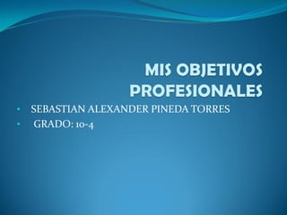 • SEBASTIAN ALEXANDER PINEDA TORRES
• GRADO: 10-4
 