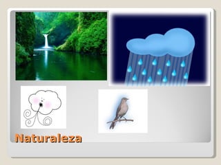 Naturaleza 