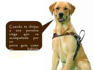 Cuando te dirijas
a   una   persona
ciega    que     va
acompañada     por
un
perro guía como
yo,        háblale
directamente a él y
no a mí.
 