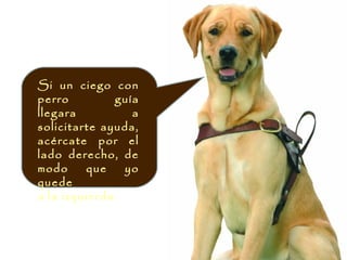 Si un ciego con
perro         guía
llegara          a
solicitarte ayuda,
acércate por el
lado derecho, de
modo     que    yo
quede
a la izquierda.
 