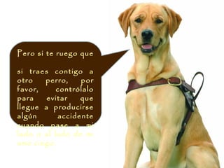 Pero si te ruego que

si traes contigo a
otro   perro,    por
favor,     contrólalo
para    evitar   que
llegue a producirse
algún      accidente
cuando pase a mi
lado o al lado de mi
amo ciego.
 