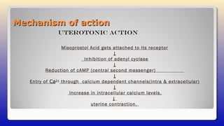 Mechanism of actionMechanism of action
Misoprostol Acid gets attached to its receptor
↓
Inhibition of adenyl cyclase
↓
Reduction of cAMP (central second messenger)
↓
Entry of Ca2+
through calcium dependent channels(intra & extracellular)
↓
Increase in intracellular calcium levels.
↓
uterine contraction.
Uterotonic Action
 