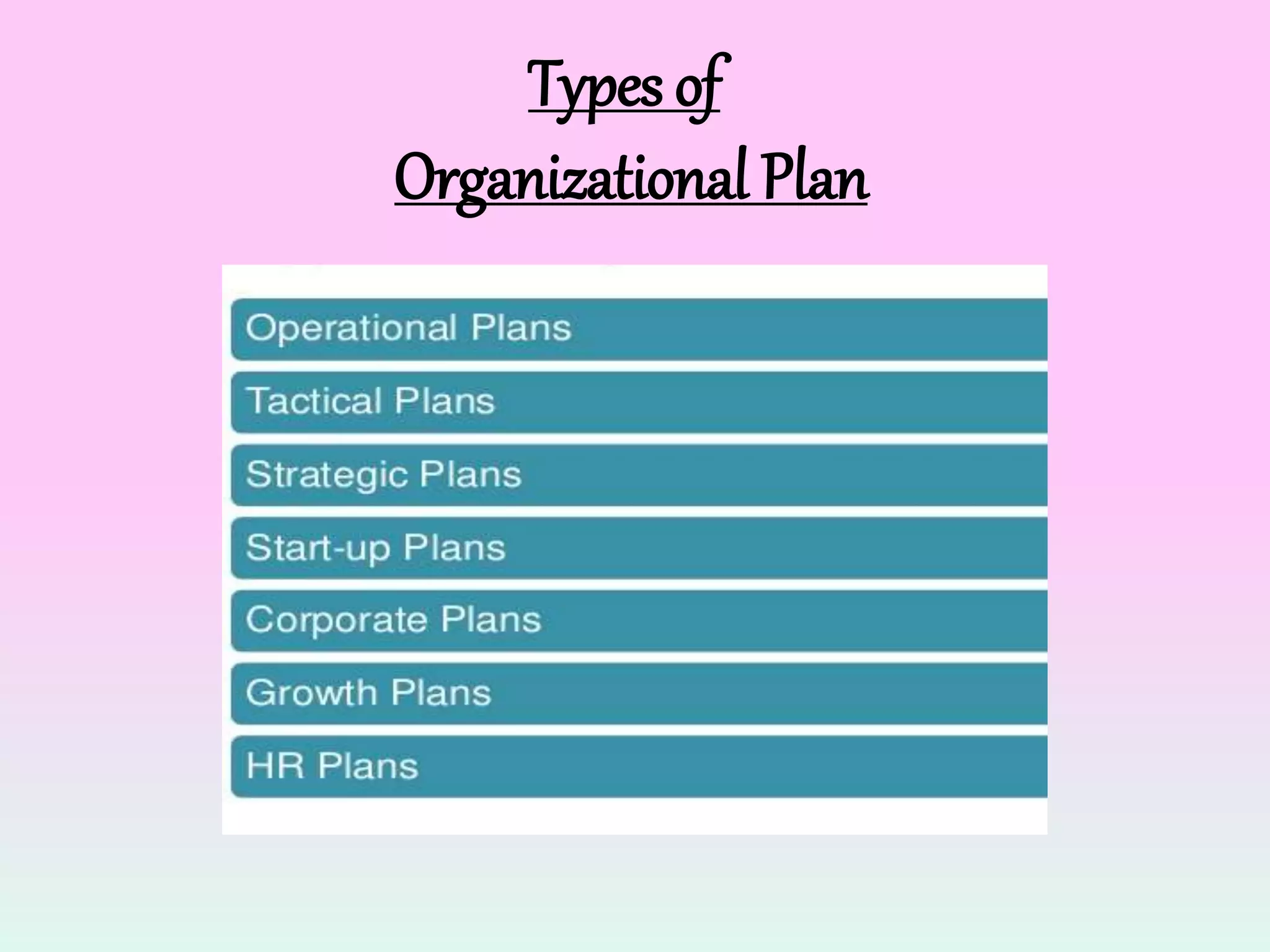 Types of
Organizational Plan
 