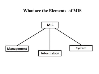 What are the Elements of MIS
 