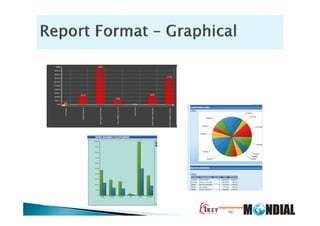 1KEY BI for MIS from Tally