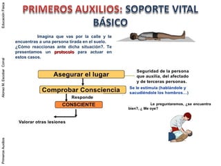 PrimerosAuxiliosAlonsoM.EscobarCorralEducaciónFísicaPrimerosAuxiliosAlonsoM.EscobarCorralEducaciónFísica
Imagina que vas por la calle y te
encuentras a una persona tirada en el suelo.
¿Cómo reaccionas ante dicha situación?. Te
presentamos un protocoloprotocolo para actuar en
estos casos.
Le preguntaremos, ¿se encuentra
bien?, ¿ Me oye?
 