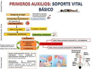 PrimerosAuxiliosAlonsoM.EscobarCorralEducaciónFísicaPrimerosAuxiliosAlonsoM.EscobarCorralEducaciónFísica
A (airway = via aerea)
B (Breathing = Ventilacion)
Parada Cardiorespiratoria (P.C.R.): “es una
interrupcion brusca, inesperada y
potencialmente reversible de la respiracion y
de la circulacion espontaneas”.
Resucitación (o Reanimación)
Cardiopulmonar (R.C.P.):“conjunto de
acciones ordenadas cuyo fin es sustituir
primero y restaurar después la respiración y la
circulación espontaneas”
C (Compressions= compresiones)
https://www.youtube.com/watch?v=sBHzOB74KuY
https://www.youtube.com/watch?v=_VoLuWgmBmk
 