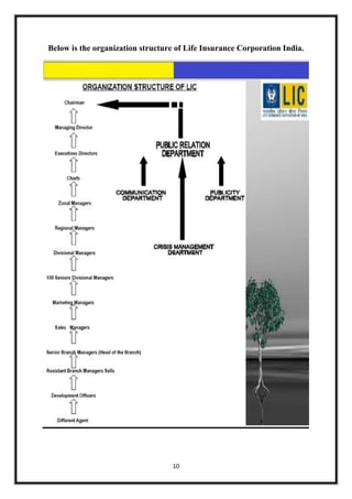Life Insurance Structure MANAGEMENT INFORMATION SYSTEM project on LIFE INSURANCE CORPORATION | PDF