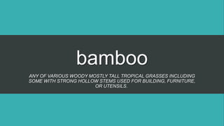 bamboo
ANY OF VARIOUS WOODY MOSTLY TALL TROPICAL GRASSES INCLUDING
SOME WITH STRONG HOLLOW STEMS USED FOR BUILDING, FURNITURE,
OR UTENSILS.
 