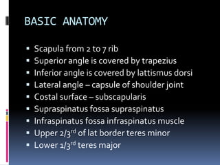 Subscapular System Minimally invasive subscapularis release | PPTX
