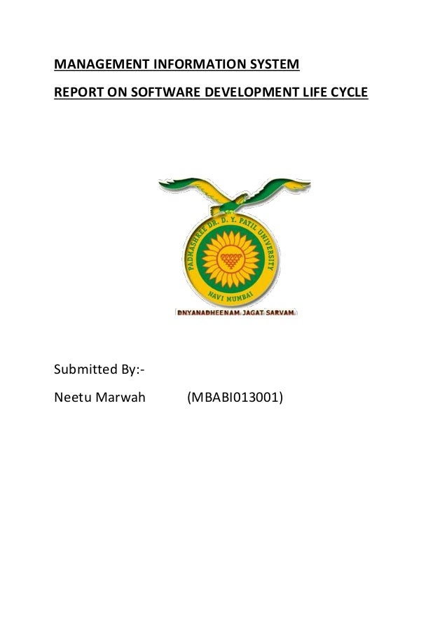 report on software development life cycle sdlc software development cycle