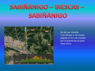 He ido por Lárrede
Y los Oroses y he vuelto
pegada al río y he cruzado
por el puente de las pilas
hasta Aurín
 
