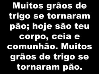 Muitos grãos de
trigo se tornaram
pão; hoje são teu
   corpo, ceia e
comunhão. Muitos
 grãos de trigo se
  tornaram pão.
 