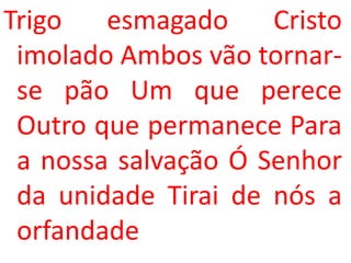 Trigo   esmagado     Cristo
 imolado Ambos vão tornar-
 se pão Um que perece
 Outro que permanece Para
 a nossa salvação Ó Senhor
 da unidade Tirai de nós a
 orfandade
 