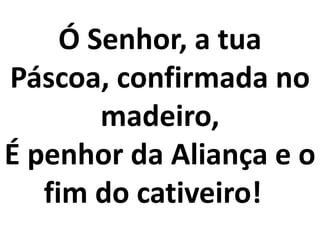 Ó Senhor, a tua
Páscoa, confirmada no
        madeiro,
É penhor da Aliança e o
   fim do cativeiro!
 