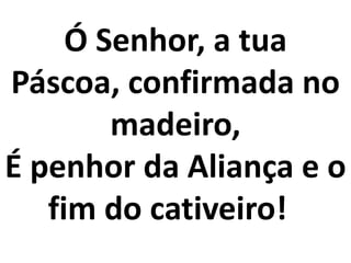 Ó Senhor, a tua
Páscoa, confirmada no
        madeiro,
É penhor da Aliança e o
   fim do cativeiro!
 