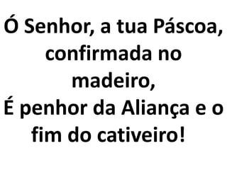 Ó Senhor, a tua Páscoa,
     confirmada no
       madeiro,
É penhor da Aliança e o
   fim do cativeiro!
 