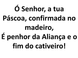Ó Senhor, a tua
Páscoa, confirmada no
       madeiro,
É penhor da Aliança e o
   fim do cativeiro!
 