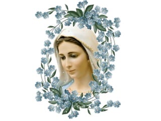 Missa das graças 25 07