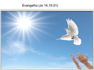 Evangelho (Jo 14,15-21)
 