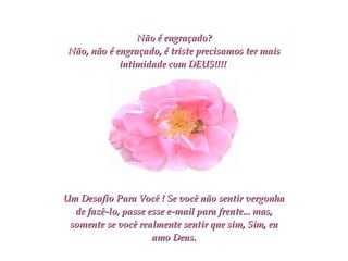 Não é engraçado? Não, não é engraçado, é triste precisamos ter mais intimidade com DEUS!!!!   Um Desafio Para Você ! Se você não sentir vergonha de fazê-lo, passe esse e-mail para frente... mas, somente se você realmente sentir que sim, Sim, eu amo Deus. 