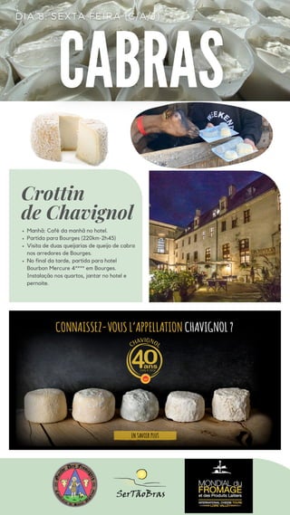 Missao queijeira2024.pdf