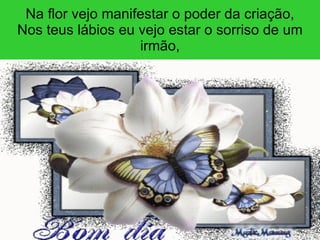 Na flor vejo manifestar o poder da criação, Nos teus lábios eu vejo estar o sorriso de um irmão, 