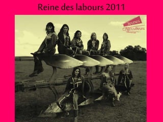 Reine des labours 2011
 