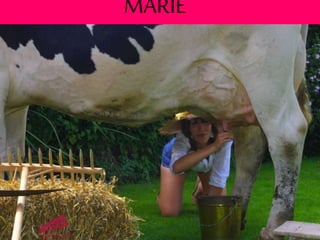 MARIE
 