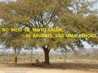 FRIENDS NEEDED!Project: BOOKS for ALL.
Campanha Missionária FMA2013
NO MEIO DE TANTO CALOR,
AS ÁRVORES SÃO UMA BÊNÇÃO.
 