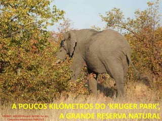 A POUCOS KILÓMETROS DO ‘KRUGER PARK’,
A GRANDE RESERVA NATURALFRIENDS NEEDED!Project: BOOKS for ALL.
Campanha Missionária FMA2013
 
