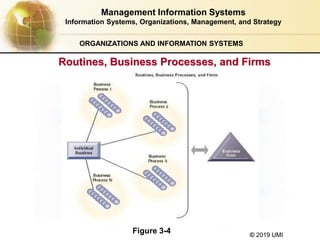 © 2019 UMI
ORGANIZATIONS AND INFORMATION SYSTEMS
Routines, Business Processes, and Firms
Figure 3-4
Management Information Systems
Information Systems, Organizations, Management, and Strategy
 