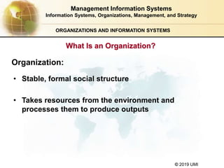 © 2019 UMI
ORGANIZATIONS AND INFORMATION SYSTEMS
What Is an Organization?
Organization:
• Stable, formal social structure
• Takes resources from the environment and
processes them to produce outputs
Management Information Systems
Information Systems, Organizations, Management, and Strategy
 