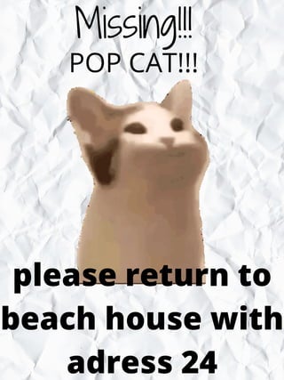 Missing!!!
POP CAT!!!
please return to
beach house with
adress 24
 