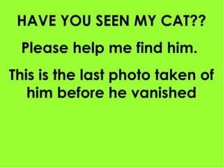 HAVE YOU SEEN MY CAT?? Please help me find him.  This is the last photo taken of him before he vanished 