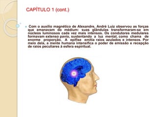 CAPÍTULO 1 (cont.)
 Com o auxílio magnético de Alexandre, André Luiz observou as forças
que emanavam do médium: suas glândulas transformaram-se em
núcleos luminosos cada vez mais intensos. Os condutores medulares
formavam extenso pavio, sustentando a luz mental, como chama de
enorme proporção. A epífise emitia raios azulados e intensos. Por
meio dela, a mente humana intensifica o poder de emissão e recepção
de raios peculiares à esfera espiritual.
 