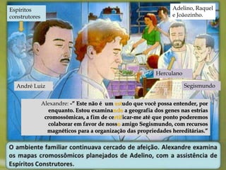 Adelino, Raquel 
e Joãozinho. 
Herculano 
Segismundo 
André Luiz 
Alexandre: -” Este não é um estudo que você possa entender, por 
enquanto. Estou examinando a geografia dos genes nas estrias 
cromossômicas, a fim de certificar-me até que ponto poderemos 
colaborar em favor de nosso amigo Segismundo, com recursos 
magnéticos para a organização das propriedades hereditárias.” 
Espíritos 
construtores 
 