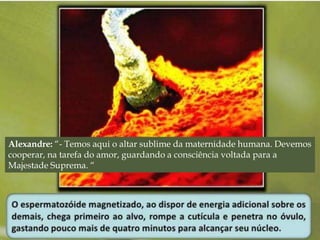 Alexandre: “- Temos aqui o altar sublime da maternidade humana. Devemos 
cooperar, na tarefa do amor, guardando a consciência voltada para a 
Majestade Suprema. “ 
 