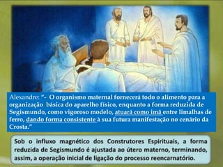 Alexandre: “- O organismo maternal fornecerá todo o alimento para a 
organização básica do aparelho físico, enquanto a forma reduzida de 
Segismundo, como vigoroso modelo, atuará como imã entre limalhas de 
ferro, dando forma consistente à sua futura manifestação no cenário da 
Crosta.” 
 