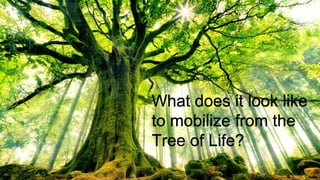 What does it look like
to mobilize from the
Tree of Life?
 