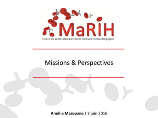 Missions & Perspectives
Amélie Marouane / 2 juin 2016
 