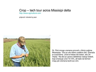 Dr. Flint mnogo vremena provodi u žitnim poljima Missisipija. “Ovo je vrlo dobro urađeno žito. Drenaža je izvanredna. Urod bi trebao biti dobar, oko 24 mtq/kj.” Na slici je upravo detektirao nastup bolesti, koja smanjuje urod 10-15%, ali kaže da farmeri imaju još vremena boriti se s tim. Crop – tech tour acros Missisipi delta http://www.agriculture.com prijevod i obrada by paor 